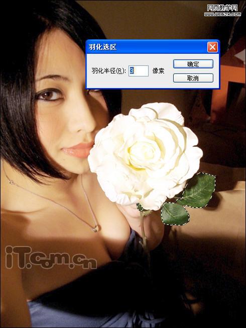 ps外掛濾鏡dec tools校正偏色照片