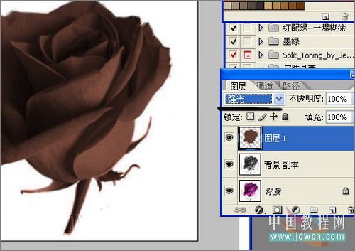 photoshop教程：制作誘人的巧克力玫瑰