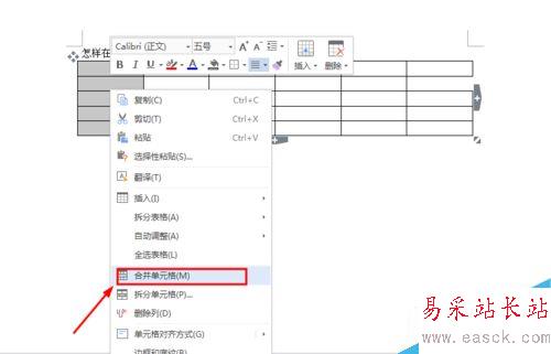 怎樣在Word中插入表格