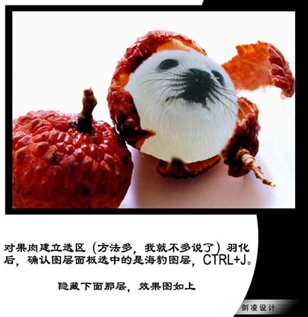 photoshop照片合成：海豹臉型的荔枝