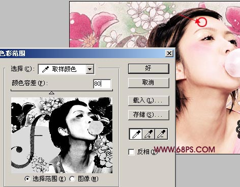 photoshop教程:制作古典花紋懷舊效果