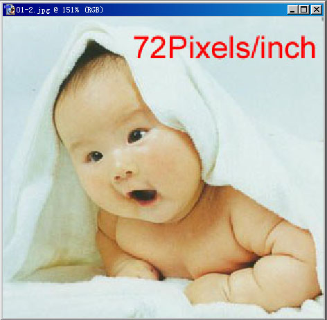 photoshop入門:理解位圖和矢量圖的不同_webjx.com