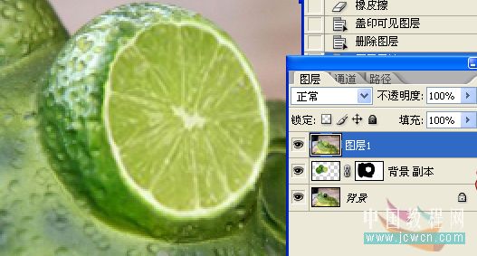 photoshop照片合成教程:變異的青蛙