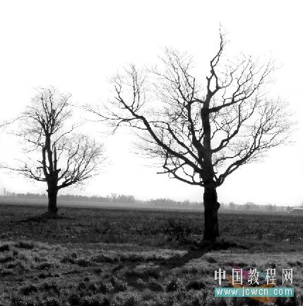 photoshop冰字特效：模擬凍裂的特效_webjx.com