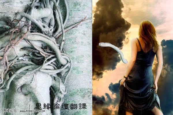 photoshop照片合成:樹妖纏身的女孩_webjx.com