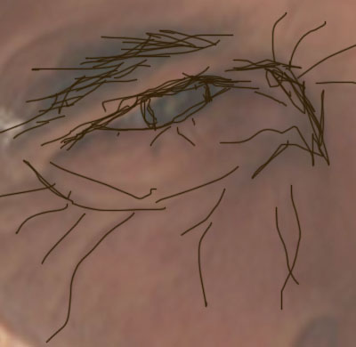 photoshop真人照片轉藝術寫生素描畫_webjx.com