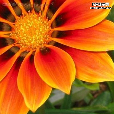 photoshop入門教程:繪制質感水珠_網頁設計