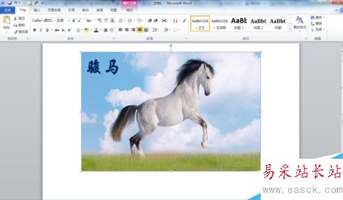 如何給word文檔中圖片添加文字