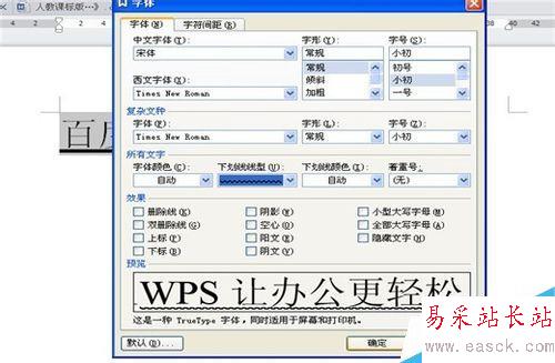 如何在Word(WPS)中給文字加下劃線并進行設置
