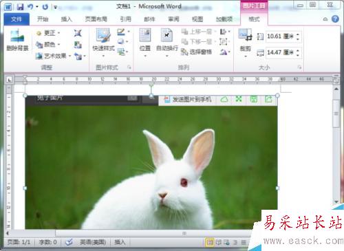 Word2010文檔中屏幕截圖功能插入圖片