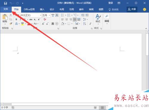 Word2016中添加開發工具選項卡到界面顯示的方法