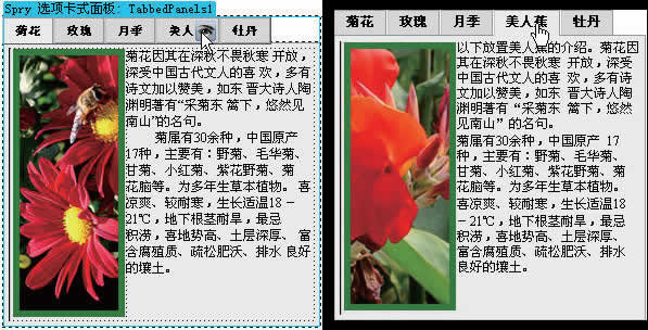 photoshop制作網站首頁(6):控制版面與插入spry對象_網頁設計webjx.com轉載