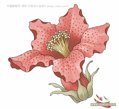 photoshop自定義卷曲花紋筆刷_網頁設計轉載教程