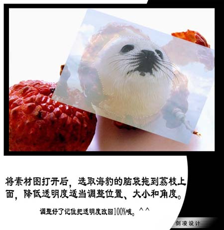 photoshop照片合成：海豹臉型的荔枝