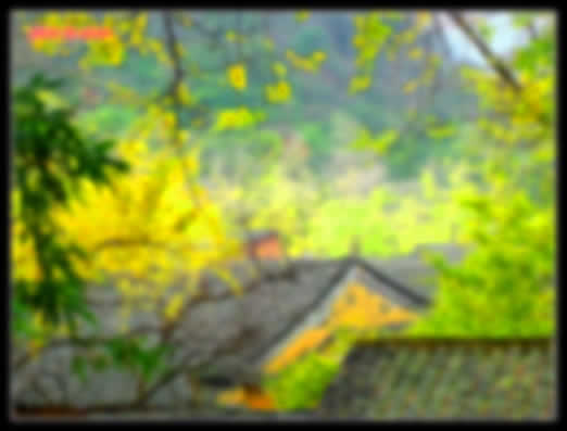 用photoshop打造照片仙境晶瑩之美