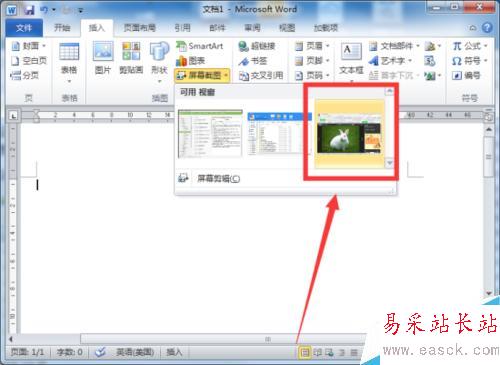 Word2010文檔中屏幕截圖功能插入圖片