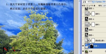 網頁設計webjx.com整理