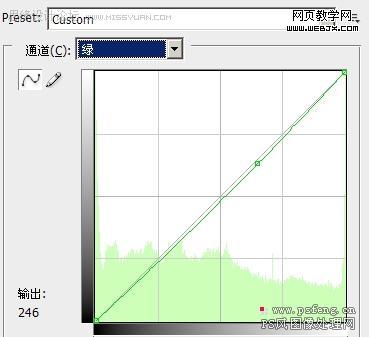photoshop調色皮膚偏黃色的妹妹照片_網頁設計
