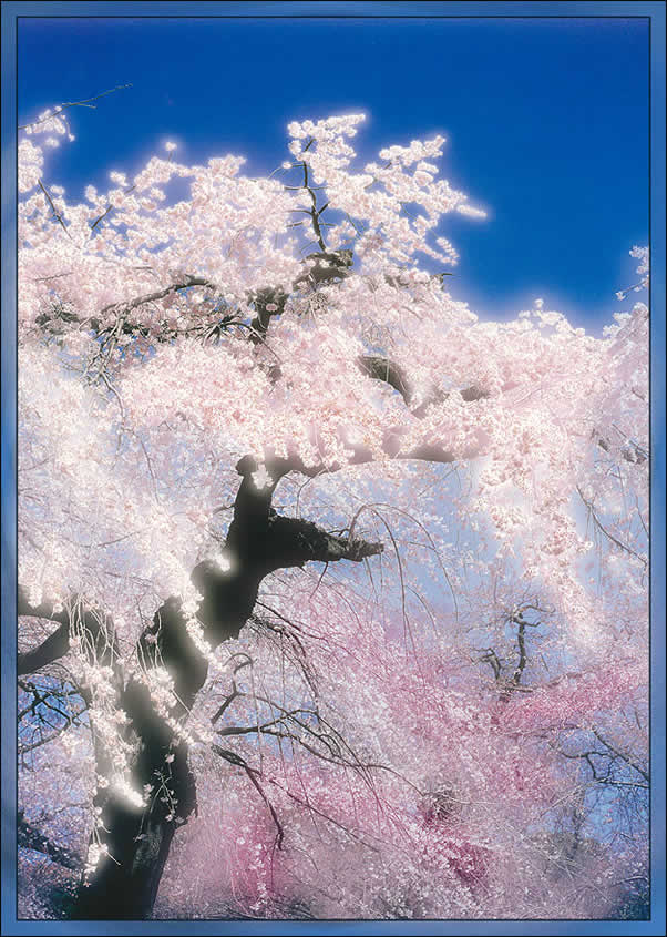 photoshop處理風景照片為藝術特效_網頁設計webjx.com在線轉載