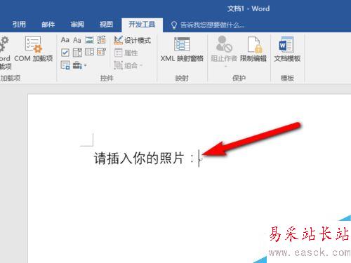 Word2016怎么插入圖片？Word2016插入圖片控件教程
