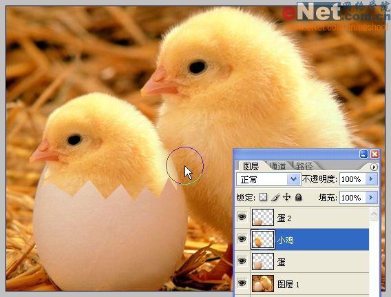 photoshop合成“蛋殼里的小雞”_網頁設計webjx.com轉載(3)