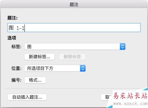 Word 插入圖片及排版