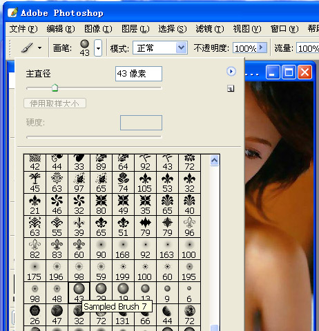 ps入門：如何使用網上下載的筆刷？_網頁設計webjx.com整理