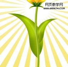 photoshop教程：繪制好看的花朵28