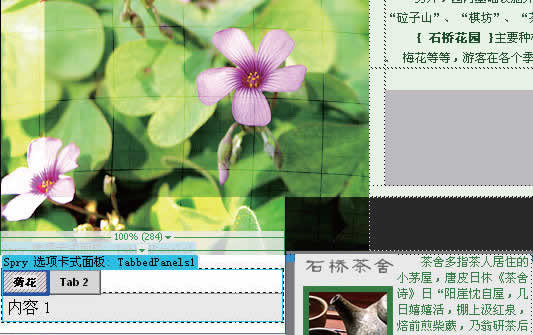 photoshop制作網站首頁(6):控制版面與插入spry對象_網頁設計webjx.com轉載