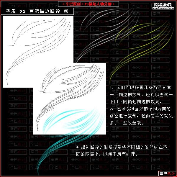 photoshop鼠繪教程:繪制真實的毛發_網頁設計