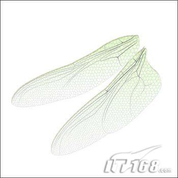 精妙絕倫photoshop手繪蜻蜓翅膀(2)