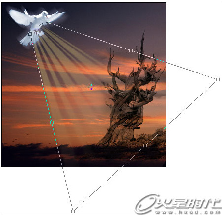 photoshop照片合成：幻境中的和平鴿
