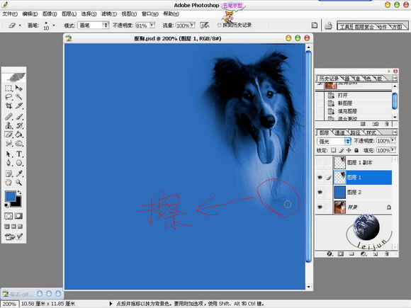 photoshop精細摳圖詳解:摳出美麗的狗狗_網頁設計webjx.com網絡整理