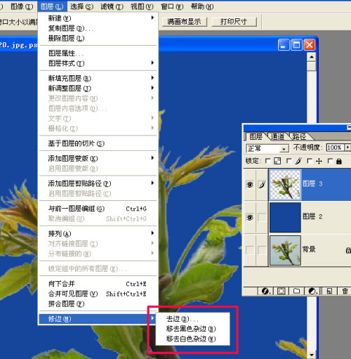 photoshop去邊命令巧除摳圖雜邊_網頁設計webjx.com網絡整理