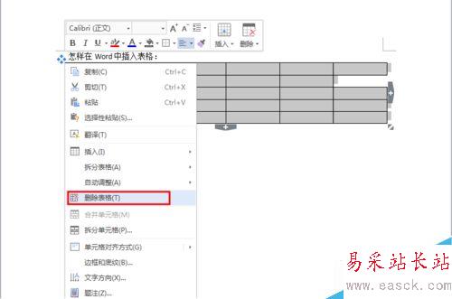 怎樣在Word中插入表格