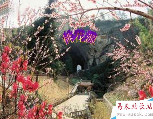 如何在word的圖片中嵌入文字