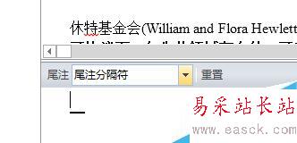 Word2013中如何刪除尾注上的橫線