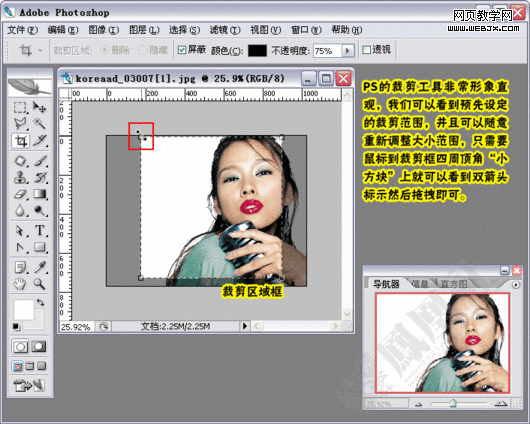 photoshop教程:制作淘寶網網店店標