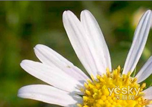 擴大圖片或者拉伸圖片失真盡量減小ps技巧