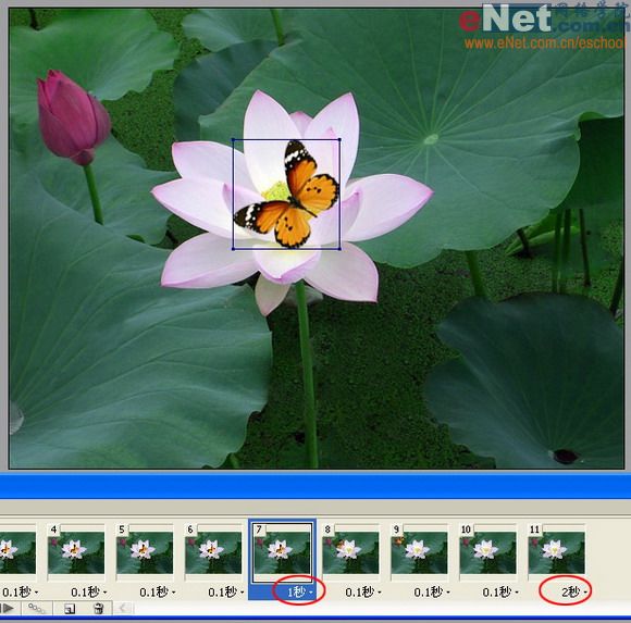 imageready蝶戀花 動畫制作教程_網頁設計webjx.com整理
