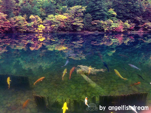 用photoshop做簡單的風景溶圖
