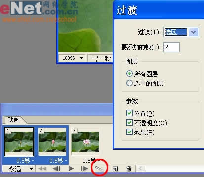 photoshop與ir打造荷花盛開動畫_網頁設計轉載