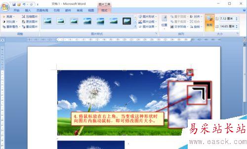 Word中如何對圖片進行裁剪