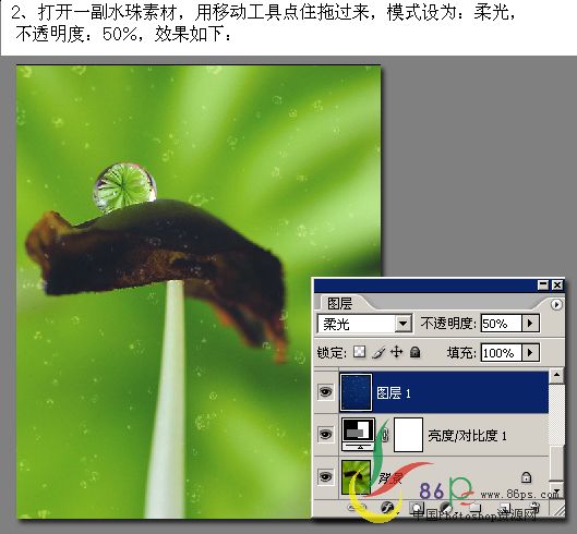 photoshop創意設計：生命之源海報