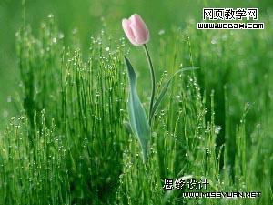 按此在新窗口瀏覽圖片