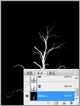 photoshop實例：計算命令摳圖_webjx.com