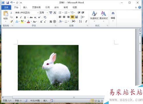 Word2010刪除圖片背景實現局部提取怎么做