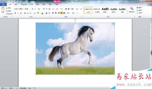 如何給word文檔中圖片添加文字