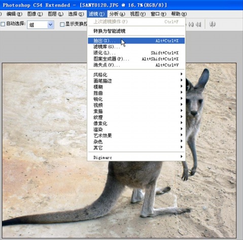 photoshop新手教程：抽出濾鏡應用_webjx.com