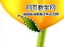 photoshop教程：繪制好看的花朵22